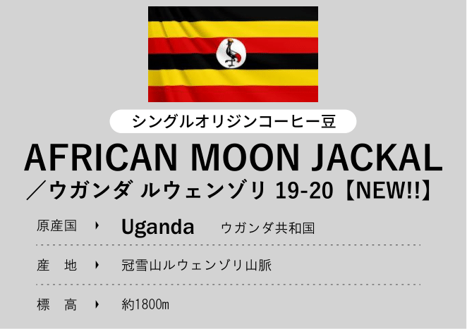 AFRICAN MOON JACKAL／ウガンダ ルウェンゾリ 19-20【NEW!!】